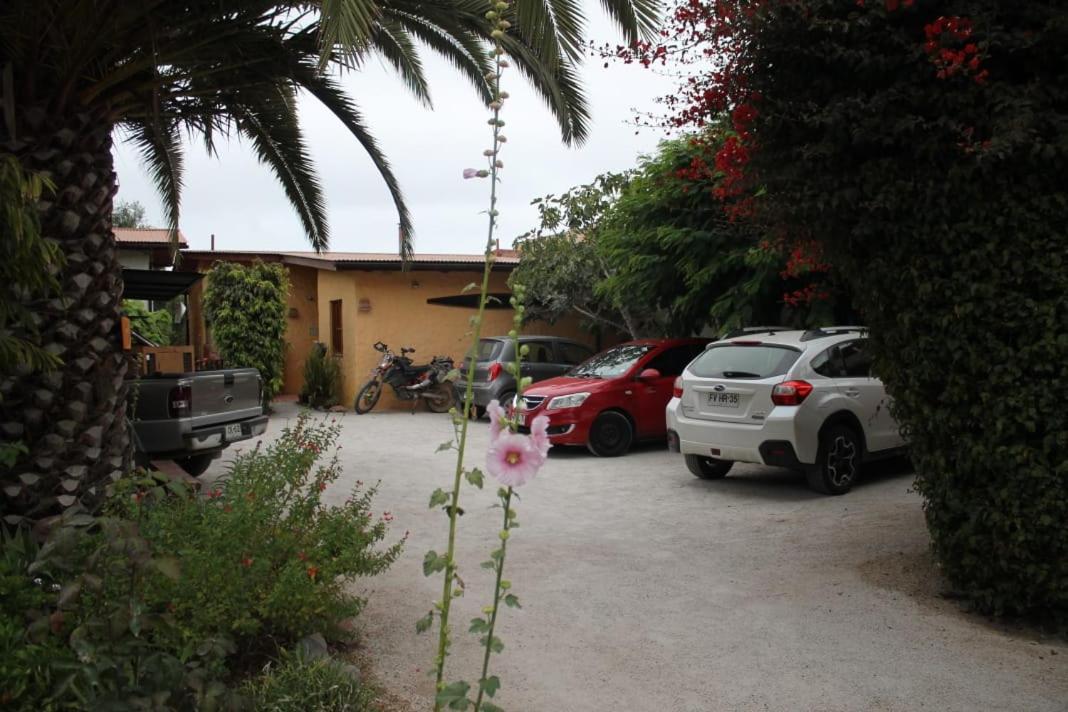 Hostal El Punto La Serena Exteriér fotografie
